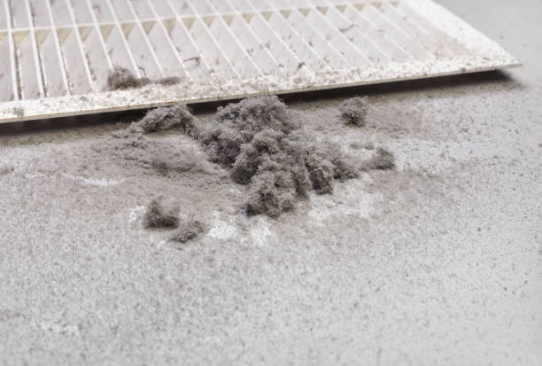 Best HVAC System Cleaning  in Raeford, NC
